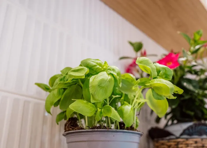 Relais San Francesco Vendégház Sorrento